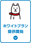 ホワイトプラン提供開始