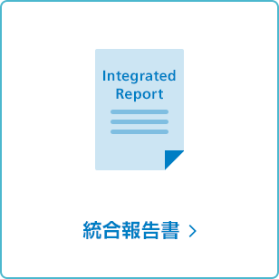 統合報告書