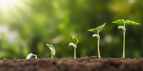 株主還元・配当