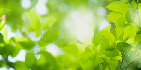 サステナビリティファイナンス