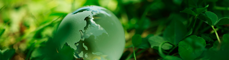 Environment and resource measures