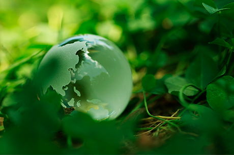 Environment and resource measures