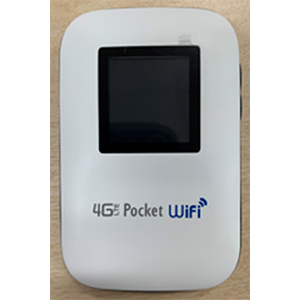 Image of unauthorized products of third parties with our registered trademarks