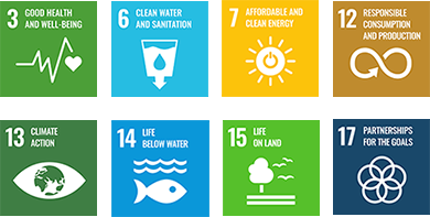 Material issue for achieving the SDGs