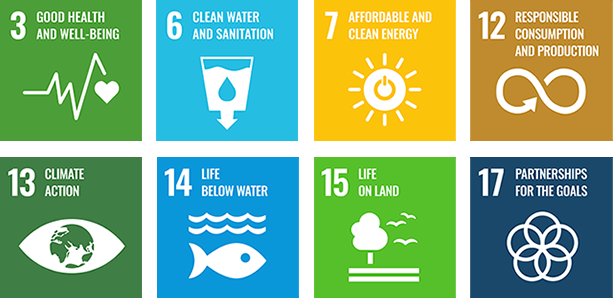 Material issue for achieving the SDGs