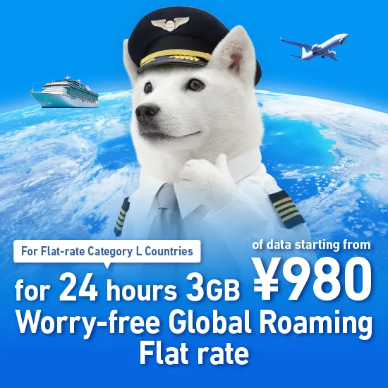 Worry-free Global Roaming Flat rate