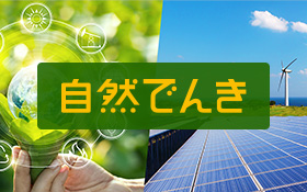 自然でんき