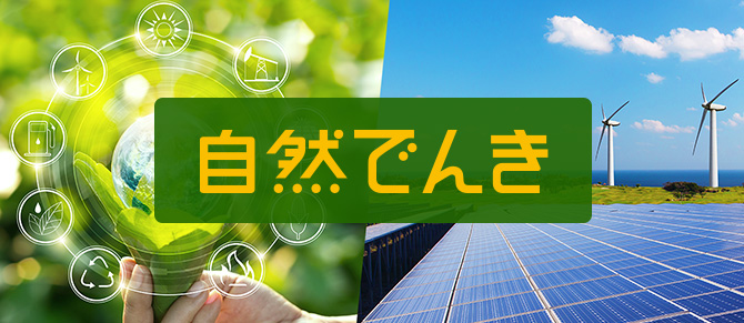 自然でんき