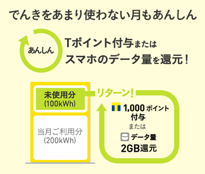 でんきをあまり使わない月もあんしん Tポイント付与またはスマホのデータ量を還元！