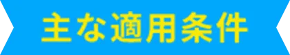 主な適用条件