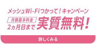 メッシュWi-Fiつかって！キャンペーン月額基本料金2ヵ月目まで実質無料！詳しくみる