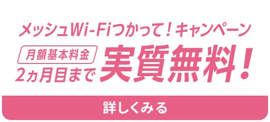 メッシュWi-Fiつかって！キャンペーン月額基本料金2ヵ月目まで実質無料！詳しくみる