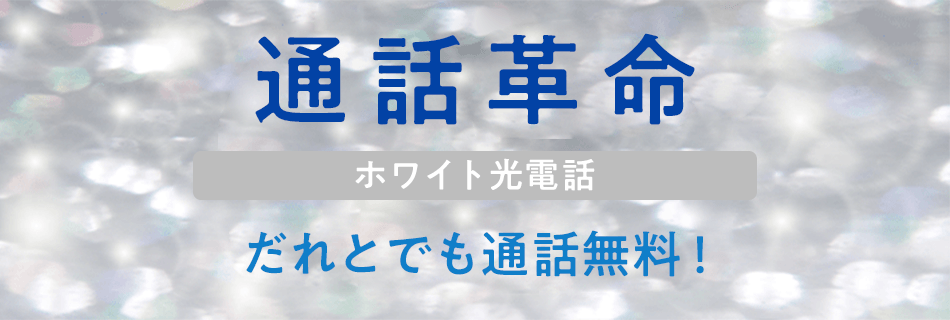 通話革命 ホワイト光電話 だれとでも通話無料！