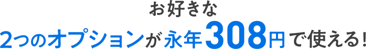 お好きな2つのオプションが永年308円で使える！