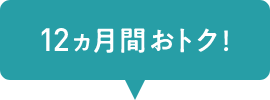 12ヵ月間おトク！