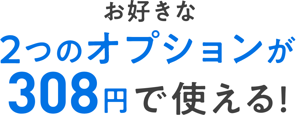 お好きな2つのオプションが永年308円で使える！