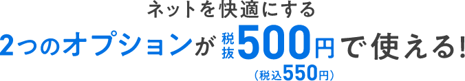 ネットを快適にする2つのオプションが 税抜500円（税込550円）で使える！