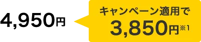 キャンペーン適用で3,850円 ※1
