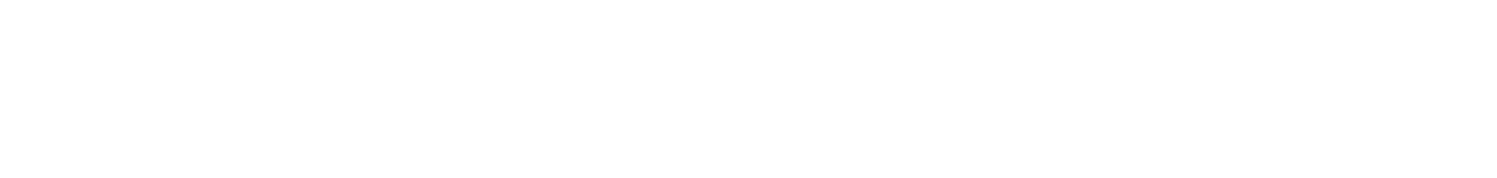 SoftBank 光・10ギガ 最大10Gbps ※2