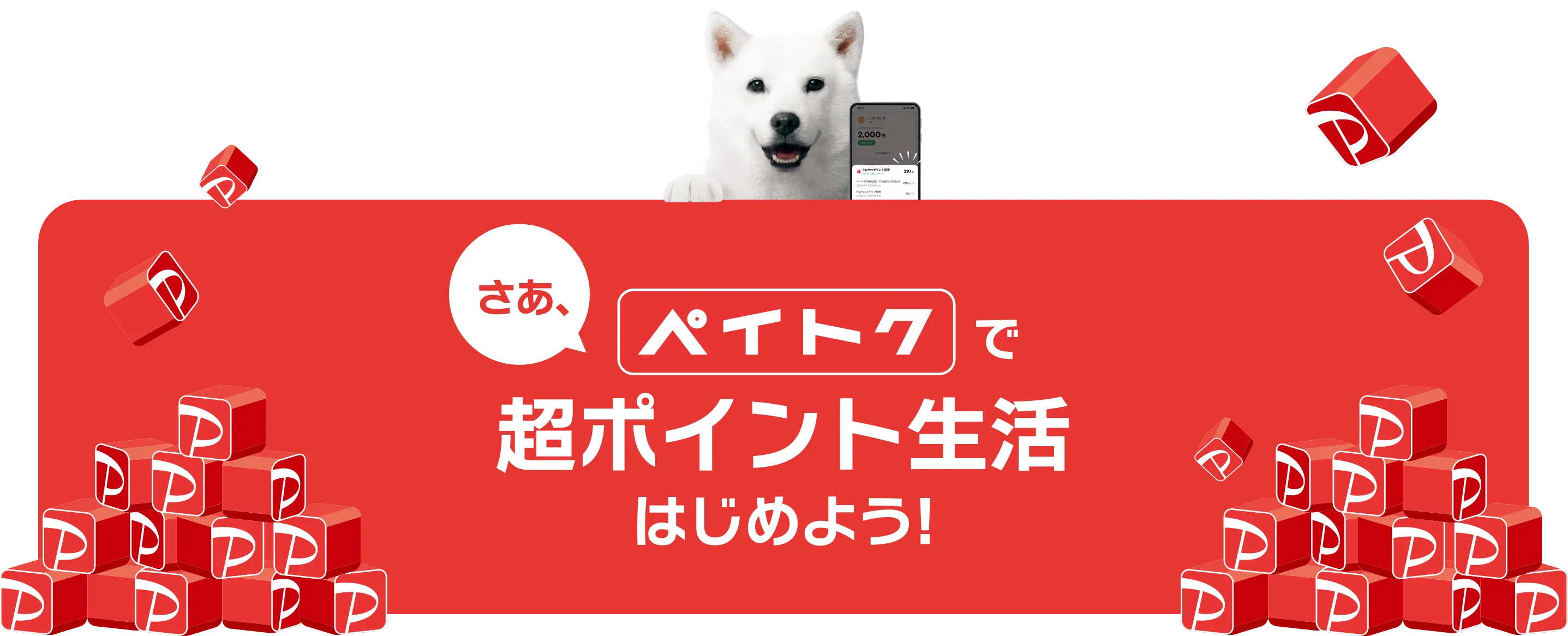さぁ、ペイトクで超ポイント生活はじめよう!