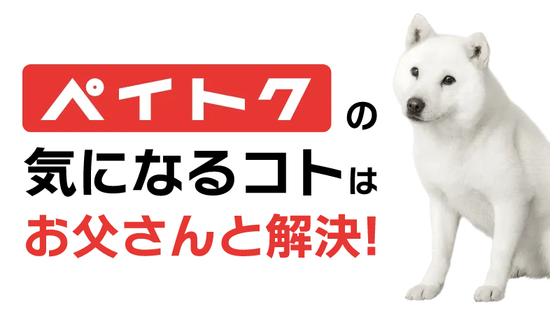 ペイトクの 気になるコトは お父さんと解決!