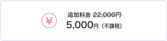 追加料金5,000円（不課税）