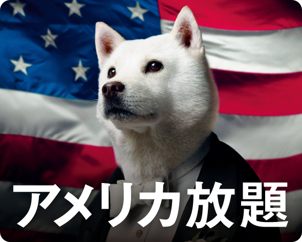 アメリカ放題