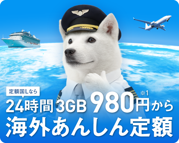 定額国Lなら24時間3GB980円※1から 海外あんしん定額