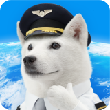 海外あんしん定額