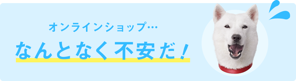 オンラインショップ... なんとなく不安だ！