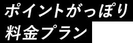 ポイントがっぽり料金プラン