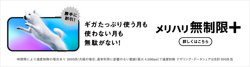 ギガたっぷり使う月も使わない月も無駄がない!メリハリ無制限+